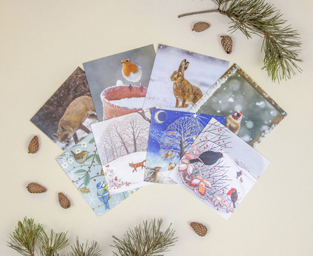 Whistlefish christmas deals cards